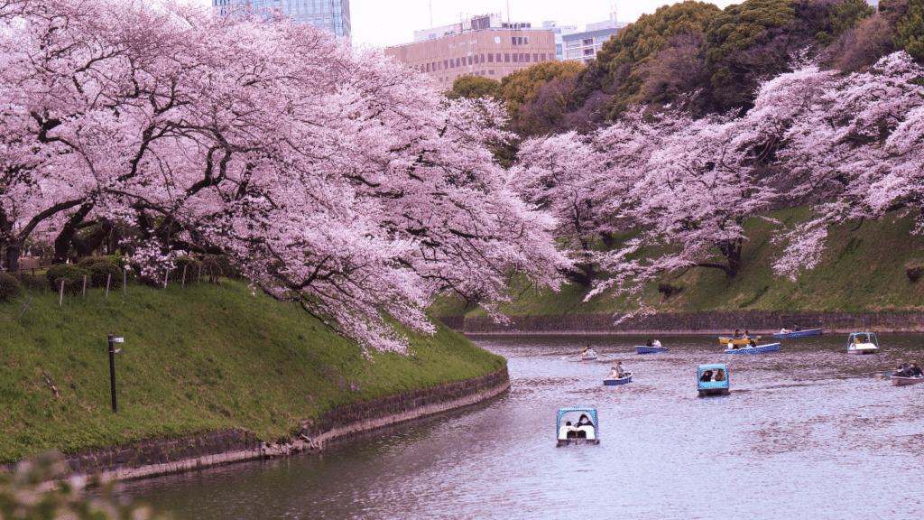 Where to Learn English in Japan